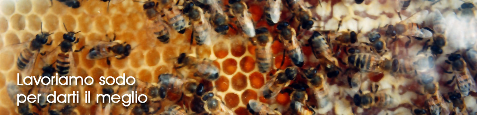 Produttori E Agenti In Cerca Di Sceneggiature